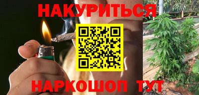крисы Аргун