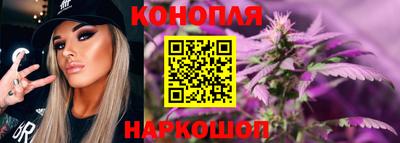 крисы Аргун
